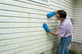 Best Siding Repair  in Louisburg, NC